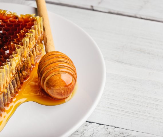 Honeycomb on plate with honey dipper